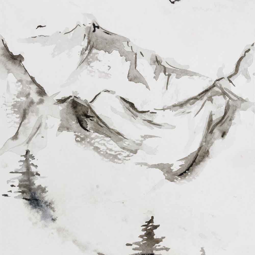 Lilly's Patient Art Collection