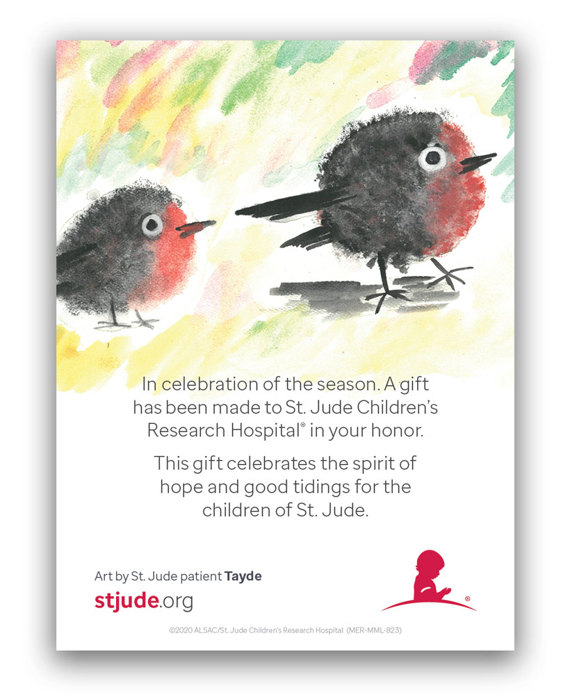 Primary image Patient Art Birds Honor Inserts - Set of 5