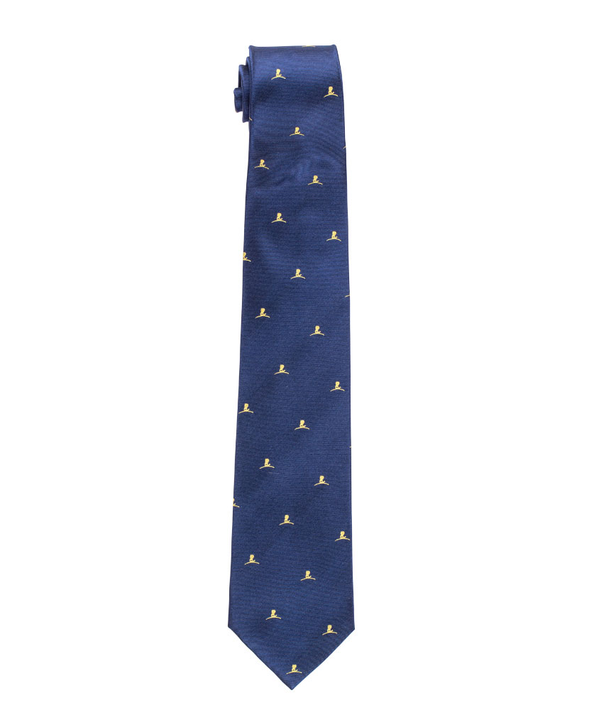 Navy and Gold Logo Tie
