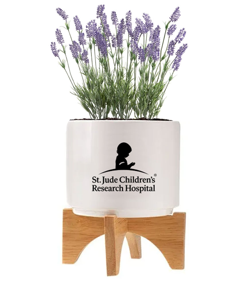 Ceramic Lavender Seed Planter